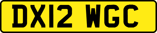 DX12WGC