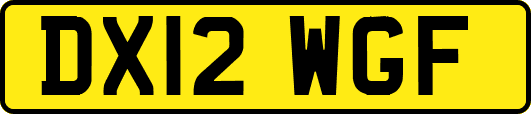 DX12WGF