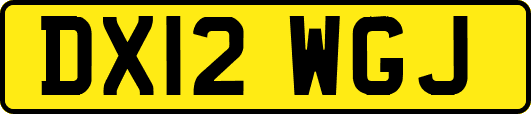 DX12WGJ