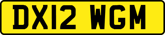 DX12WGM