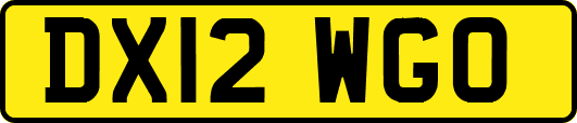 DX12WGO