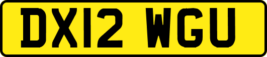 DX12WGU