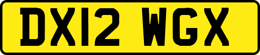 DX12WGX