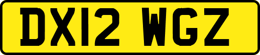 DX12WGZ
