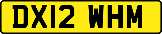 DX12WHM