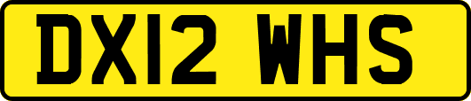 DX12WHS