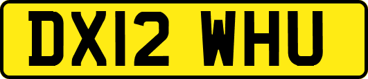 DX12WHU