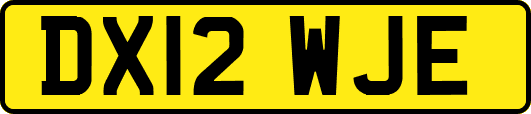 DX12WJE