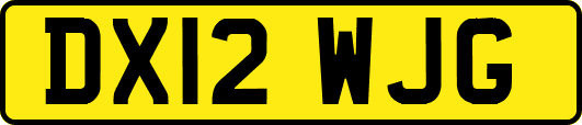 DX12WJG