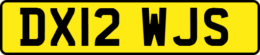 DX12WJS