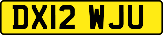 DX12WJU