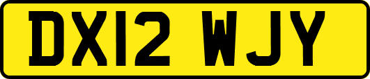 DX12WJY