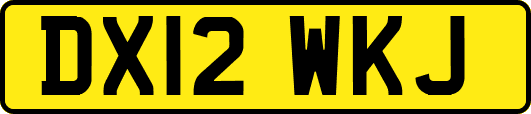 DX12WKJ