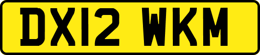 DX12WKM