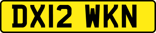 DX12WKN