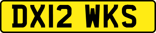 DX12WKS
