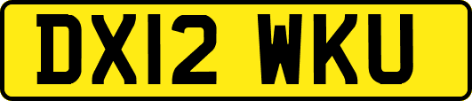 DX12WKU