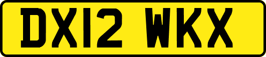 DX12WKX