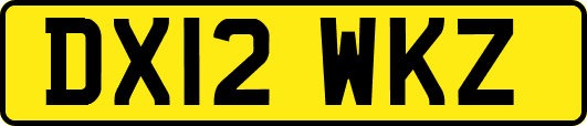DX12WKZ