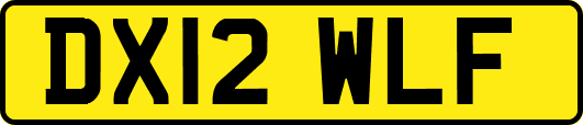 DX12WLF