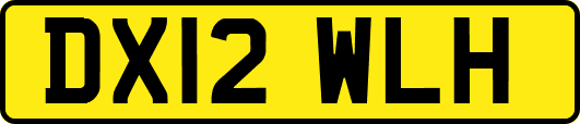 DX12WLH