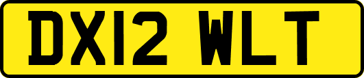 DX12WLT