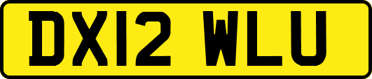 DX12WLU