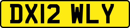 DX12WLY