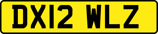 DX12WLZ