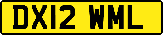 DX12WML