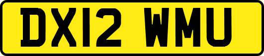 DX12WMU