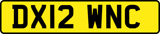 DX12WNC