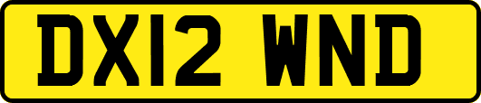 DX12WND