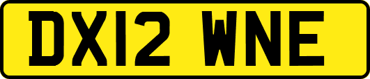 DX12WNE