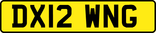 DX12WNG