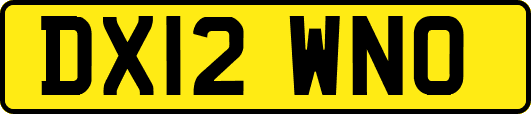 DX12WNO