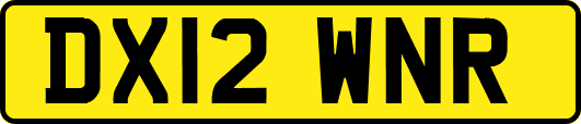 DX12WNR