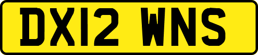 DX12WNS