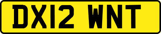 DX12WNT