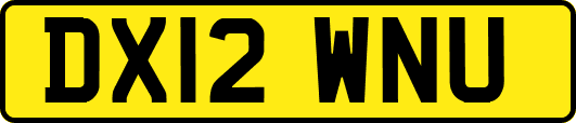 DX12WNU