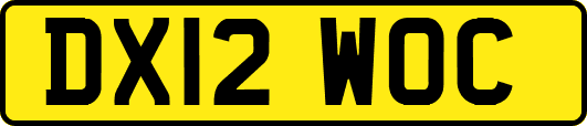 DX12WOC