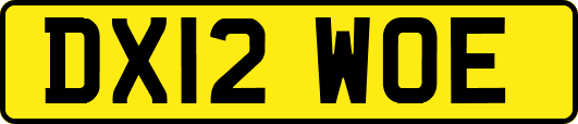 DX12WOE