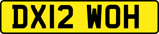DX12WOH