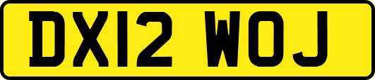 DX12WOJ