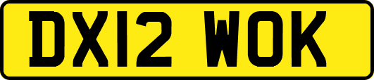 DX12WOK