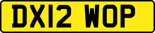 DX12WOP
