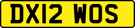 DX12WOS