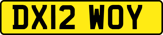 DX12WOY