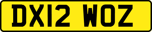 DX12WOZ