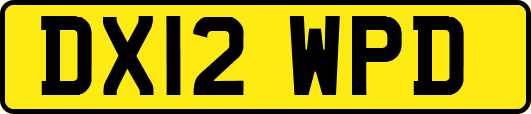 DX12WPD